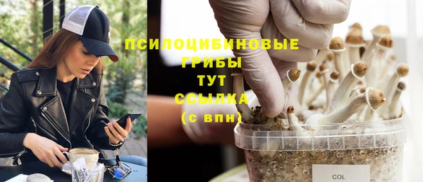стаф Балабаново