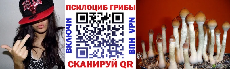 купить закладку  Ленинск-Кузнецкий  Псилоцибиновые грибы мухоморы 